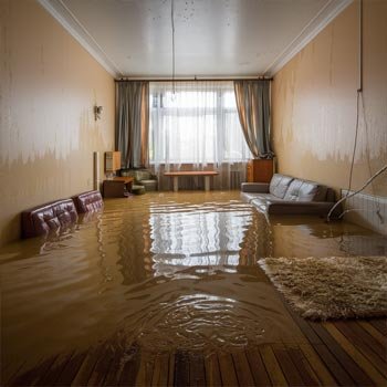 My Chicago Water Damage Restoration